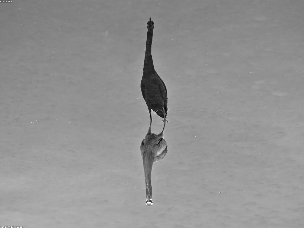 គន្លឹះនៃការពិចារណា