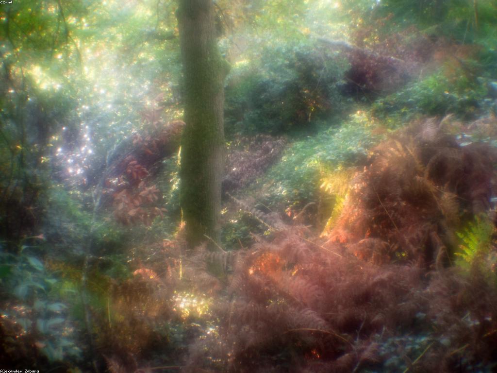 និន្នាការថ្មីៗក្នុងព័ត៌មាន