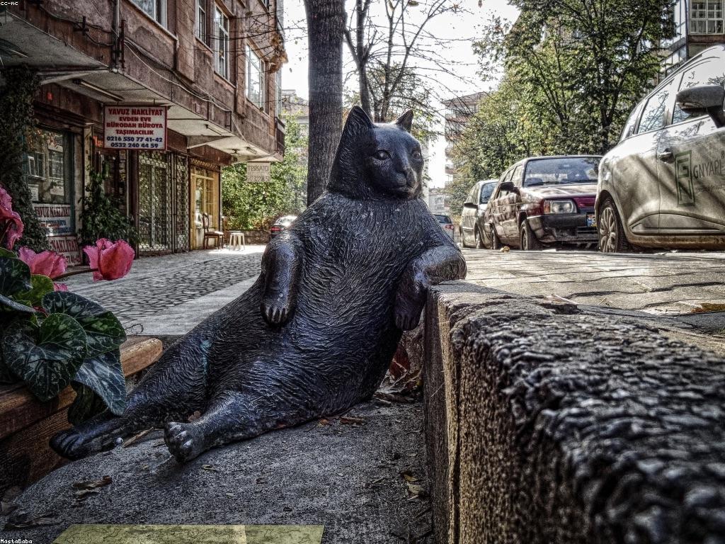 វិធីសាស្ត្រភ្នាល់ដើម្បីជោគជ័យ