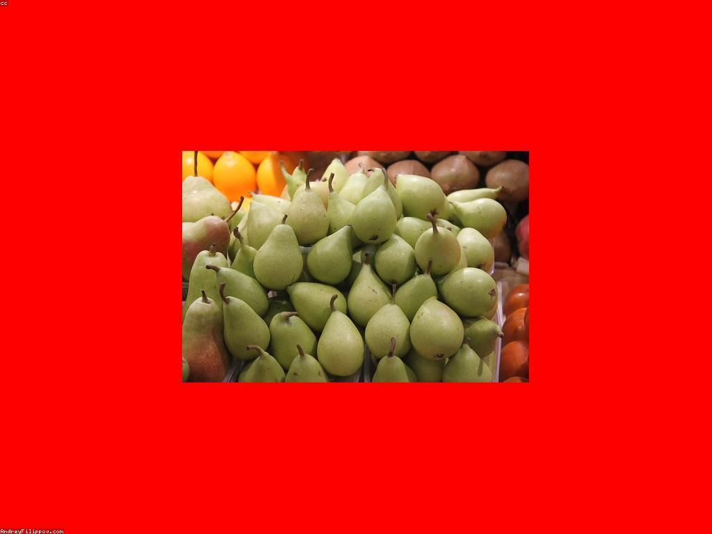 វិភាគនយោបាយតម្លៃស្លុត