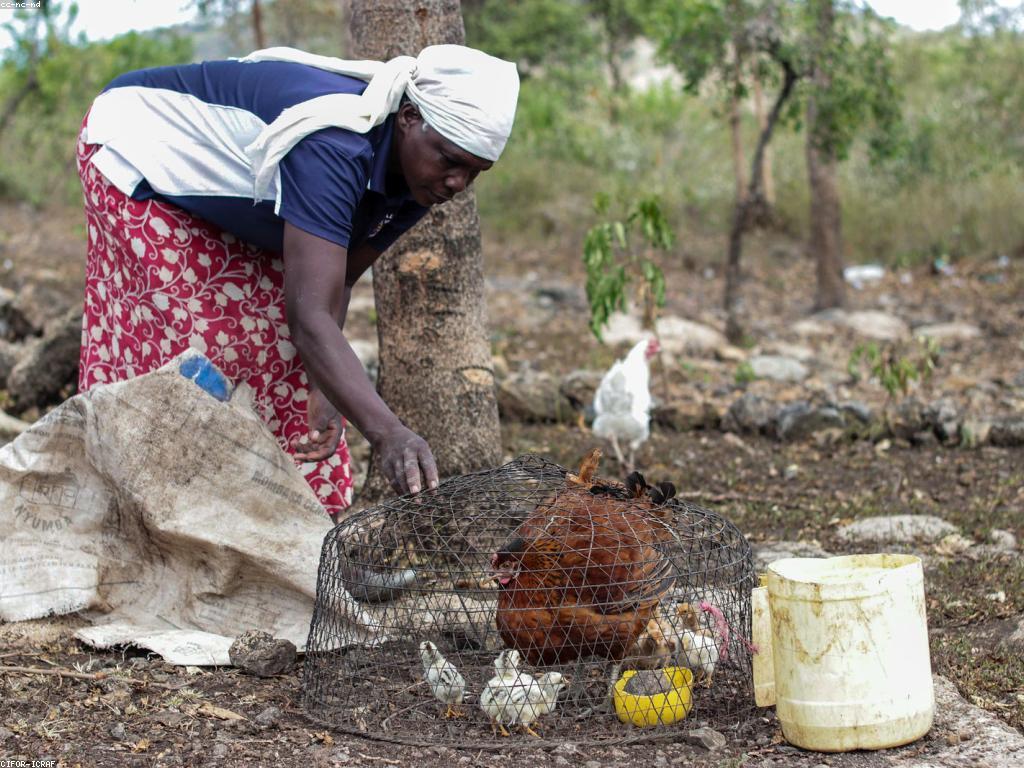យុទ្ធសាស្ត្រ និងការអភិវឌ្ឍគុណភាពជីវិត